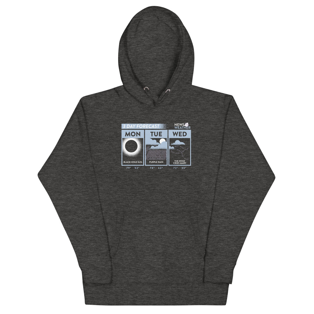 3 Day Forecast Unisex Hoodie product image 3