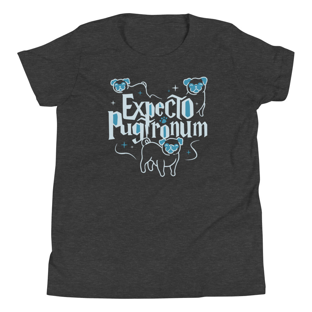 Expecto Pugtronum Kid's Youth Tee product image 3