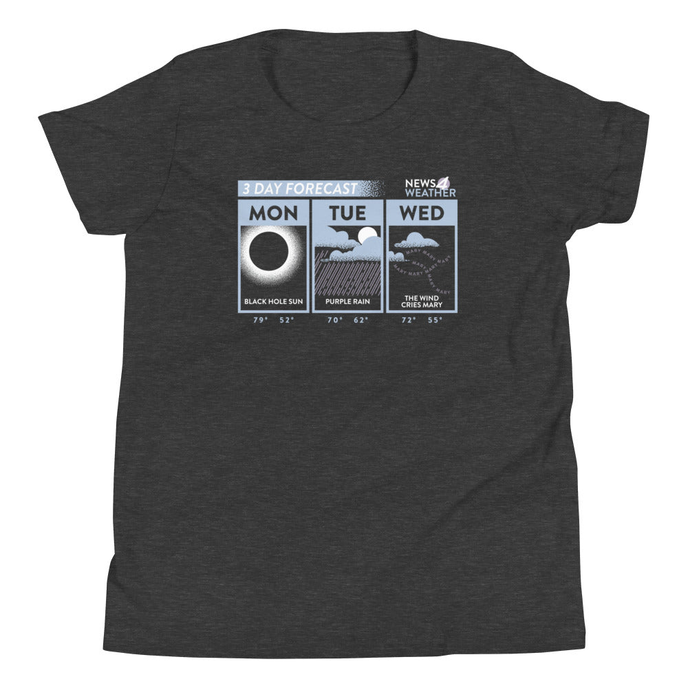 3 Day Forecast Kid's Youth Tee product image 3