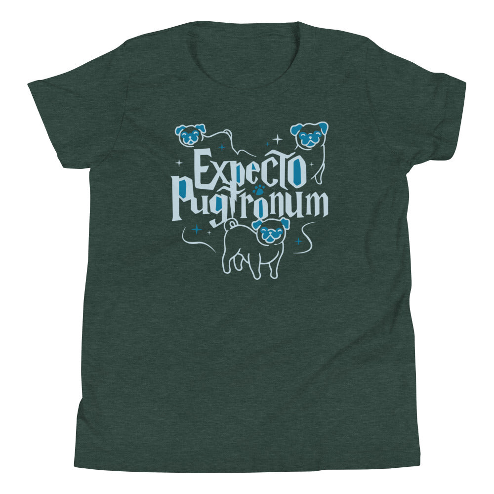 Expecto Pugtronum Kid's Youth Tee product image 4