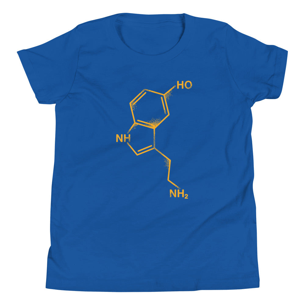 Serotonin Kid's Youth Tee product image 4